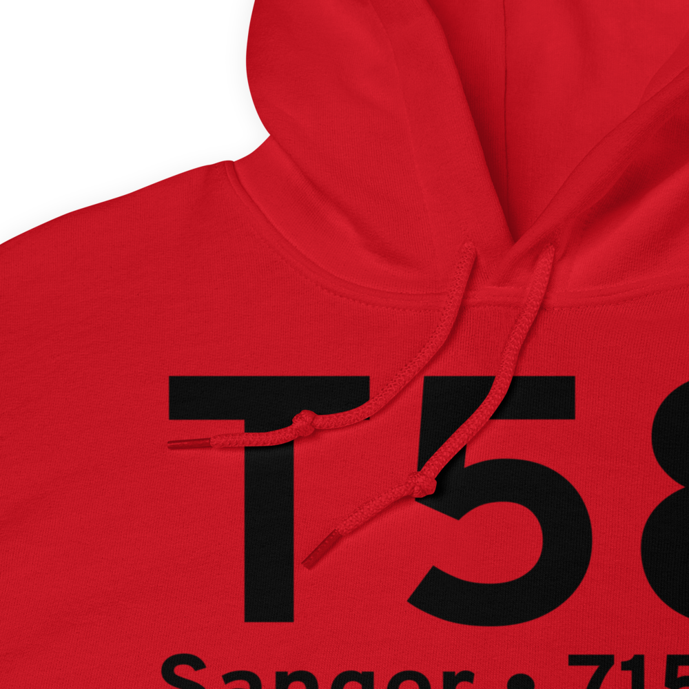 Sanger (T58) Airport Hoodie Sweatshirt 