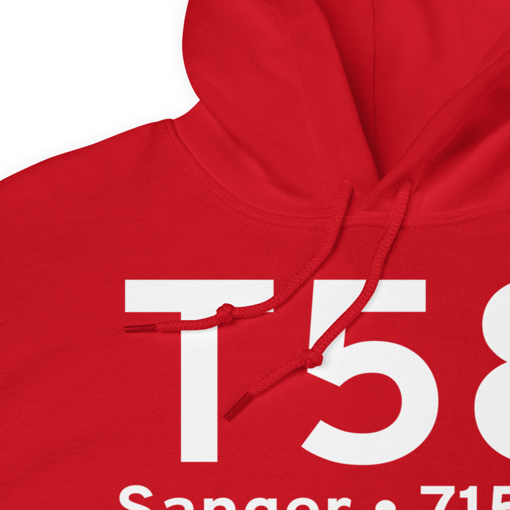 Sanger (T58) Airport Hoodie Sweatshirt 