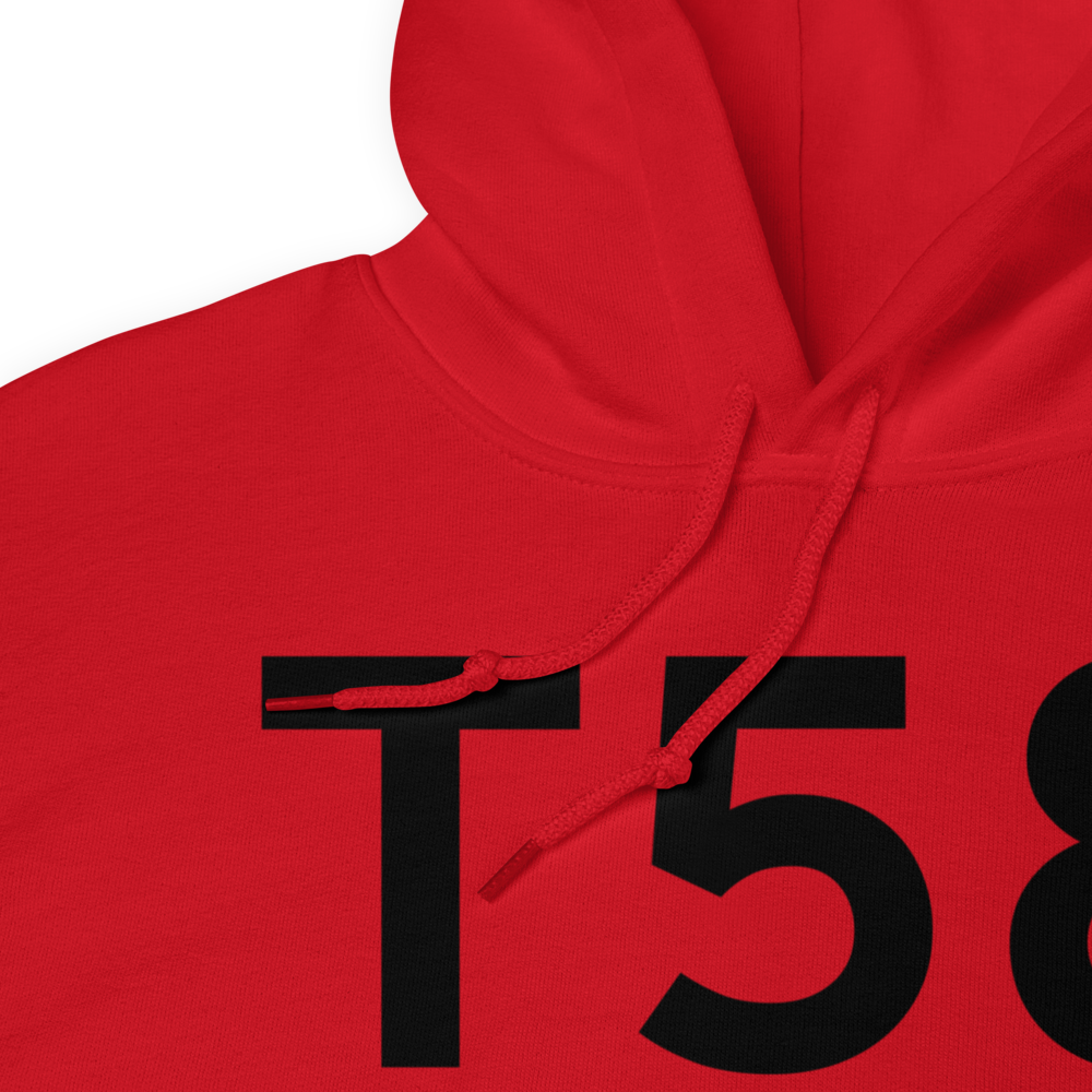 Sanger (T58) Airport Hoodie Sweatshirt 