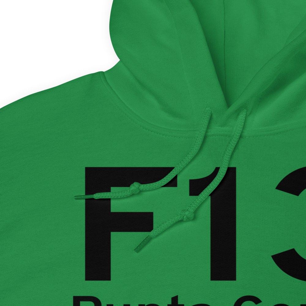 Punta Gorda (F13) Airport Hoodie Sweatshirt 