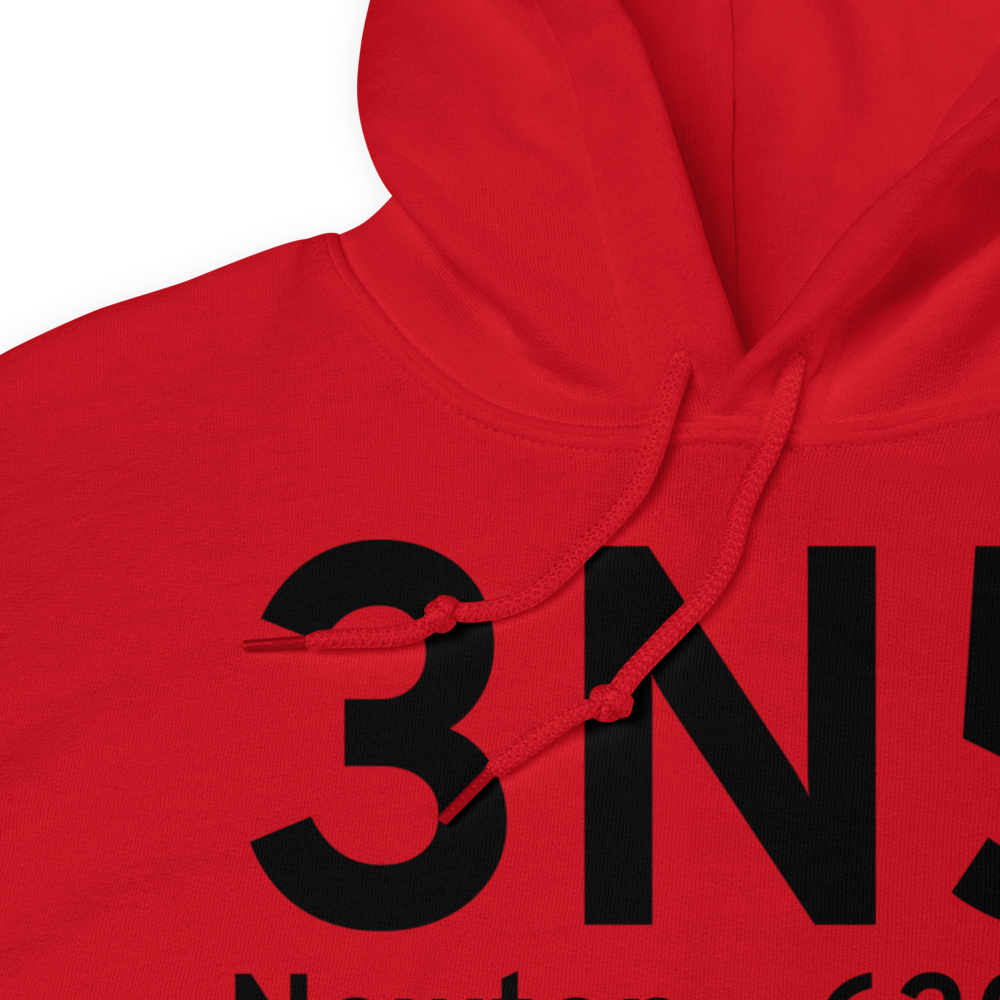 Newton (3N5) Airport Hoodie Sweatshirt 