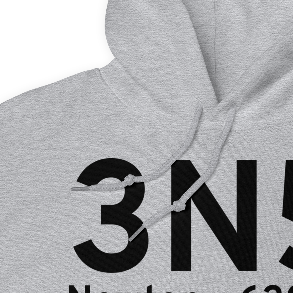 Newton (3N5) Airport Hoodie Sweatshirt 
