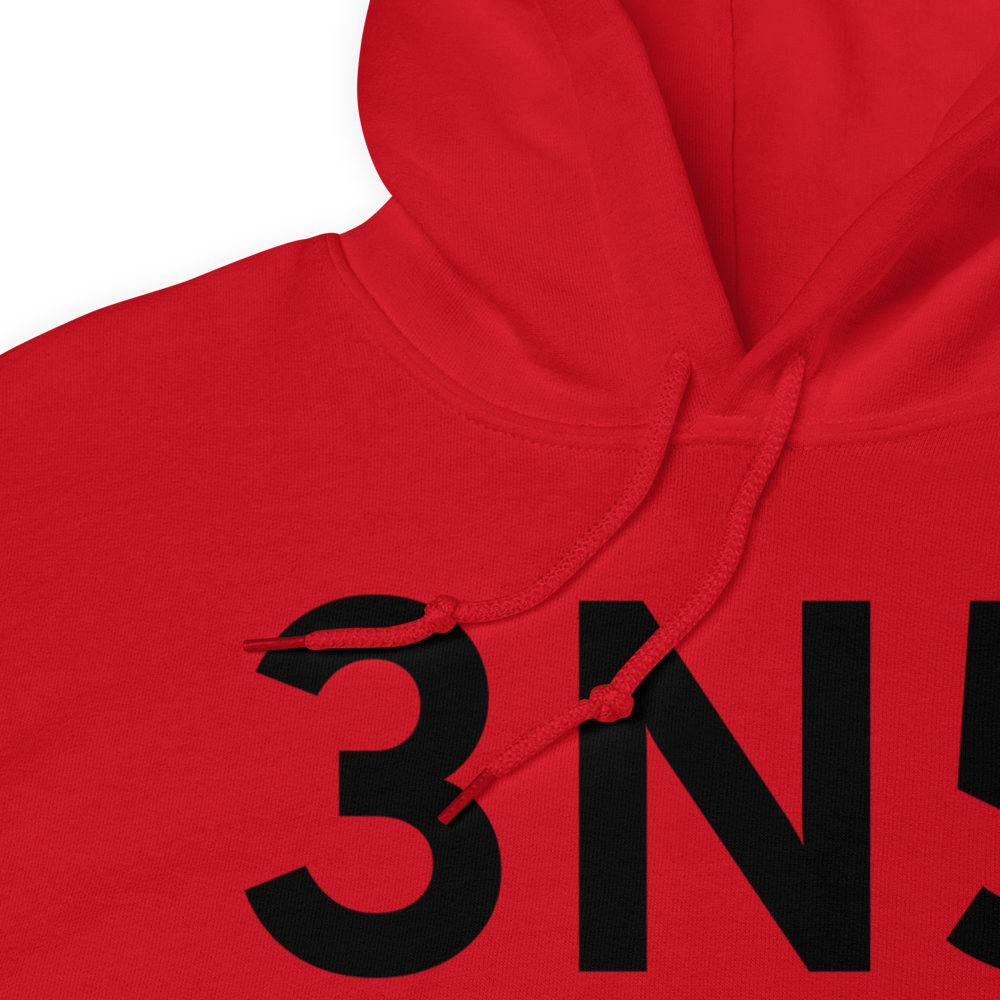 Newton (3N5) Airport Hoodie Sweatshirt 