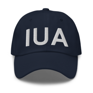 Ontario County IDA (D38) Airport Hat