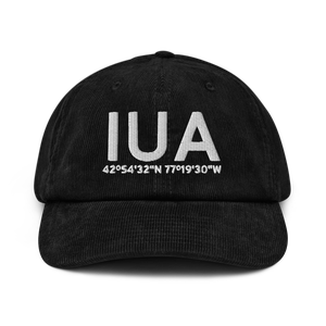 Ontario County IDA (D38) Airport Hat