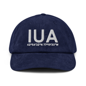 Ontario County IDA (D38) Airport Hat