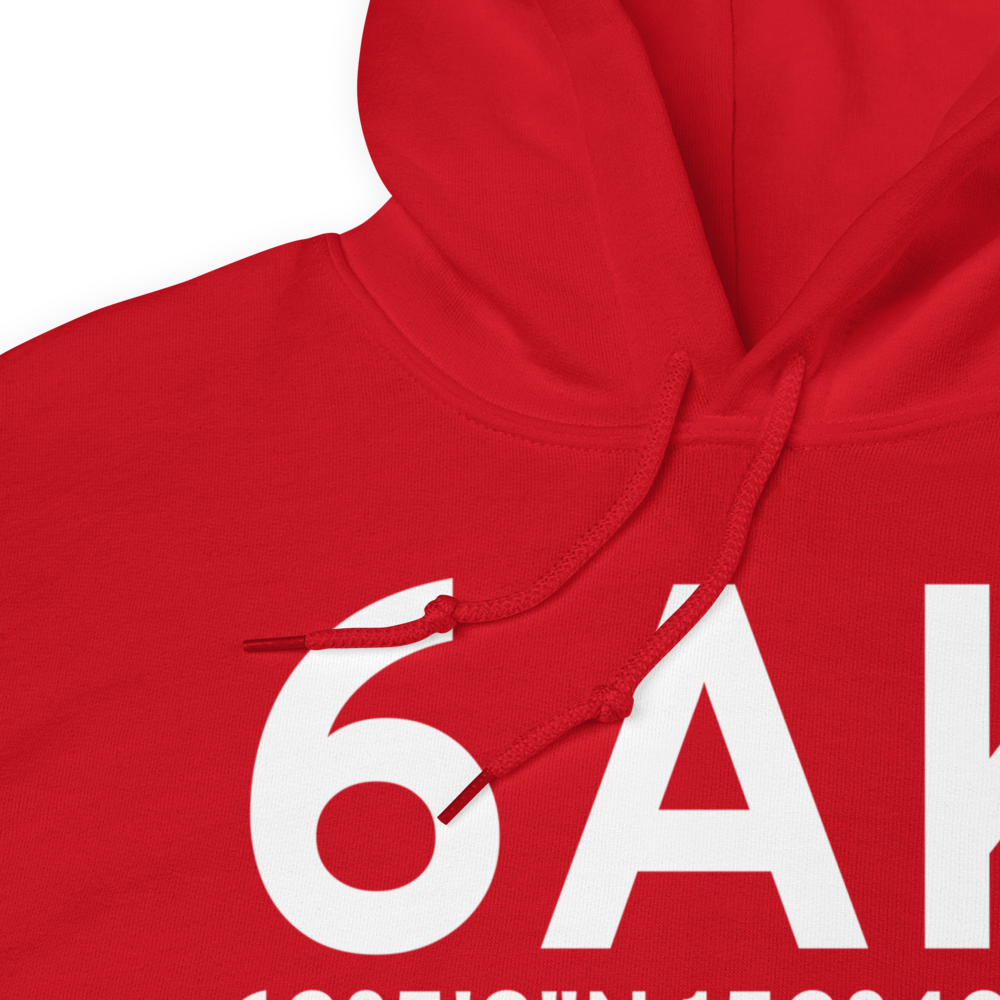 Rainy Pass (6AK) Airport Hoodie Sweatshirt 