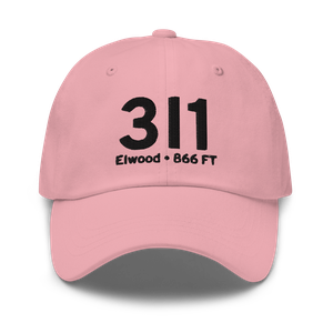 Elwood (3I1) Airport Hat