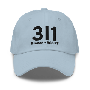 Elwood (3I1) Airport Hat