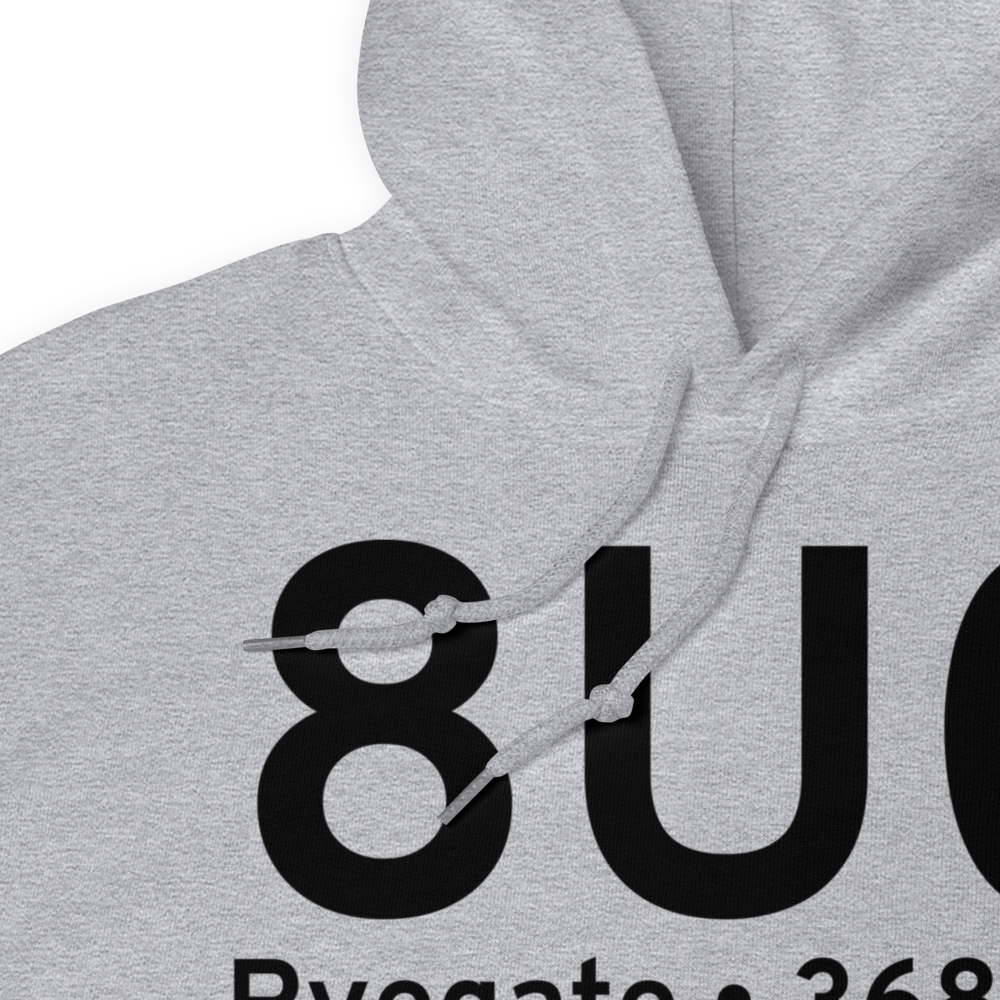 Ryegate (8U0) Airport Hoodie Sweatshirt 