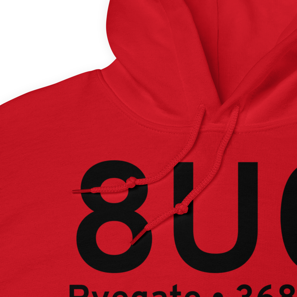 Ryegate (8U0) Airport Hoodie Sweatshirt 