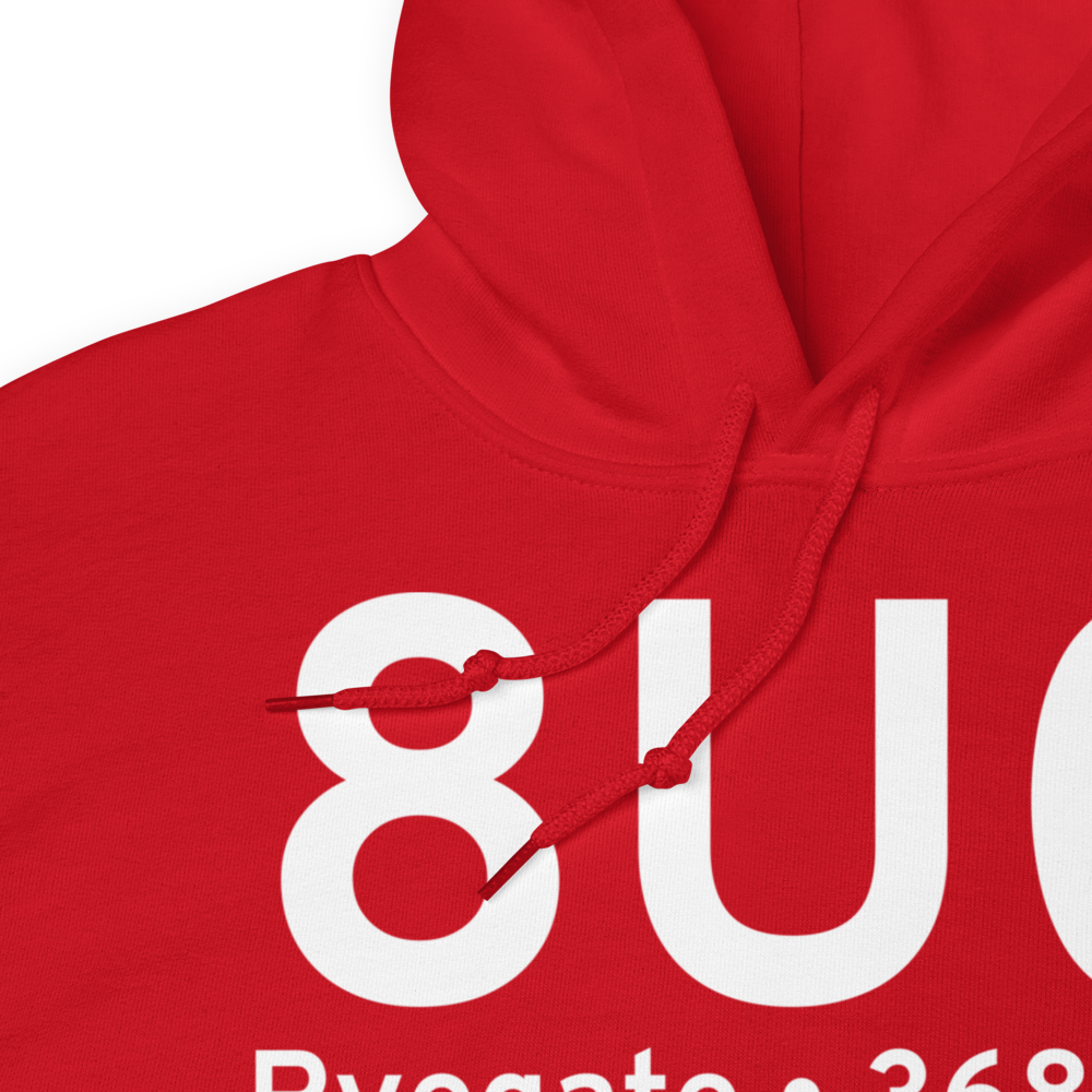 Ryegate (8U0) Airport Hoodie Sweatshirt 