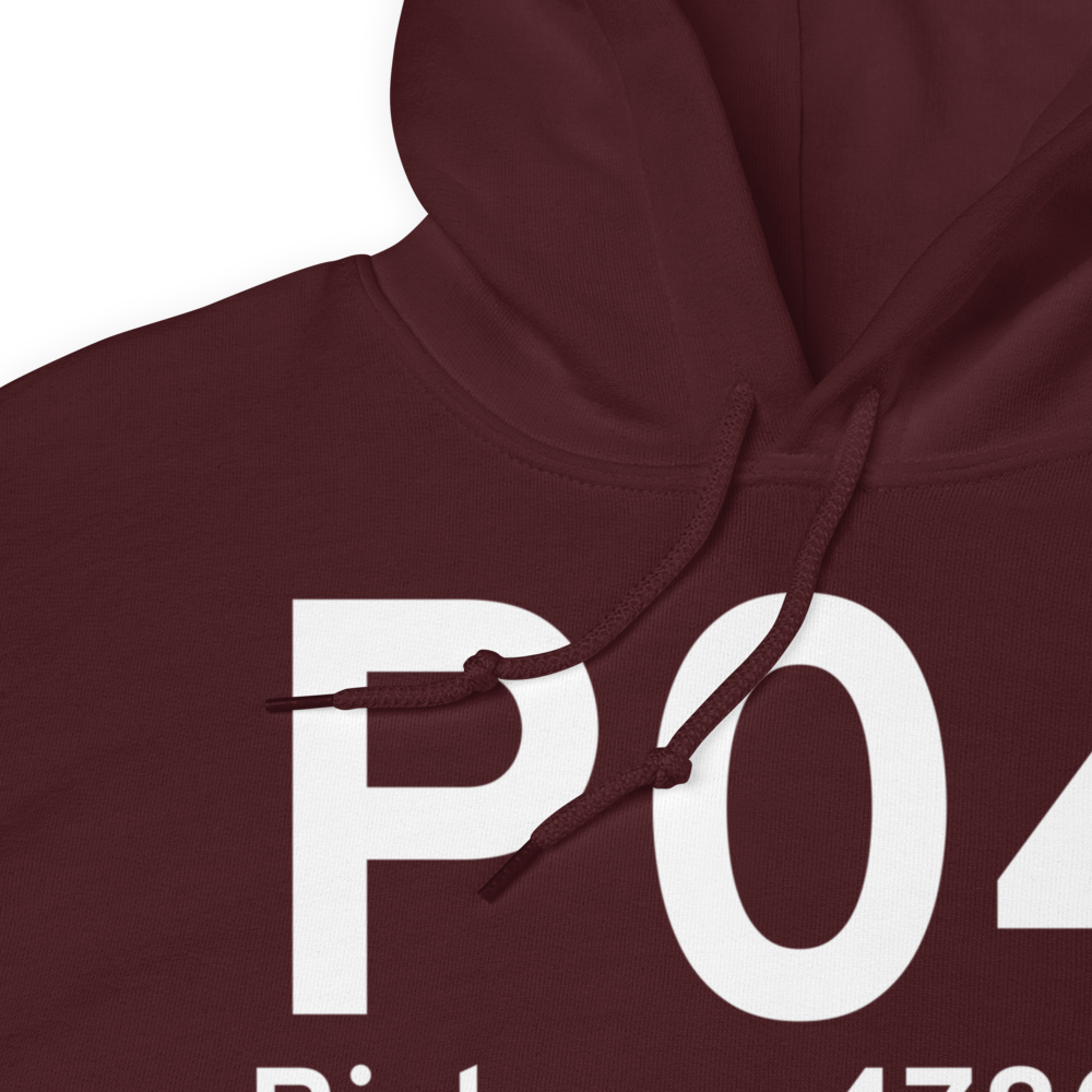 Bisbee (KP04) Airport Hoodie Sweatshirt 