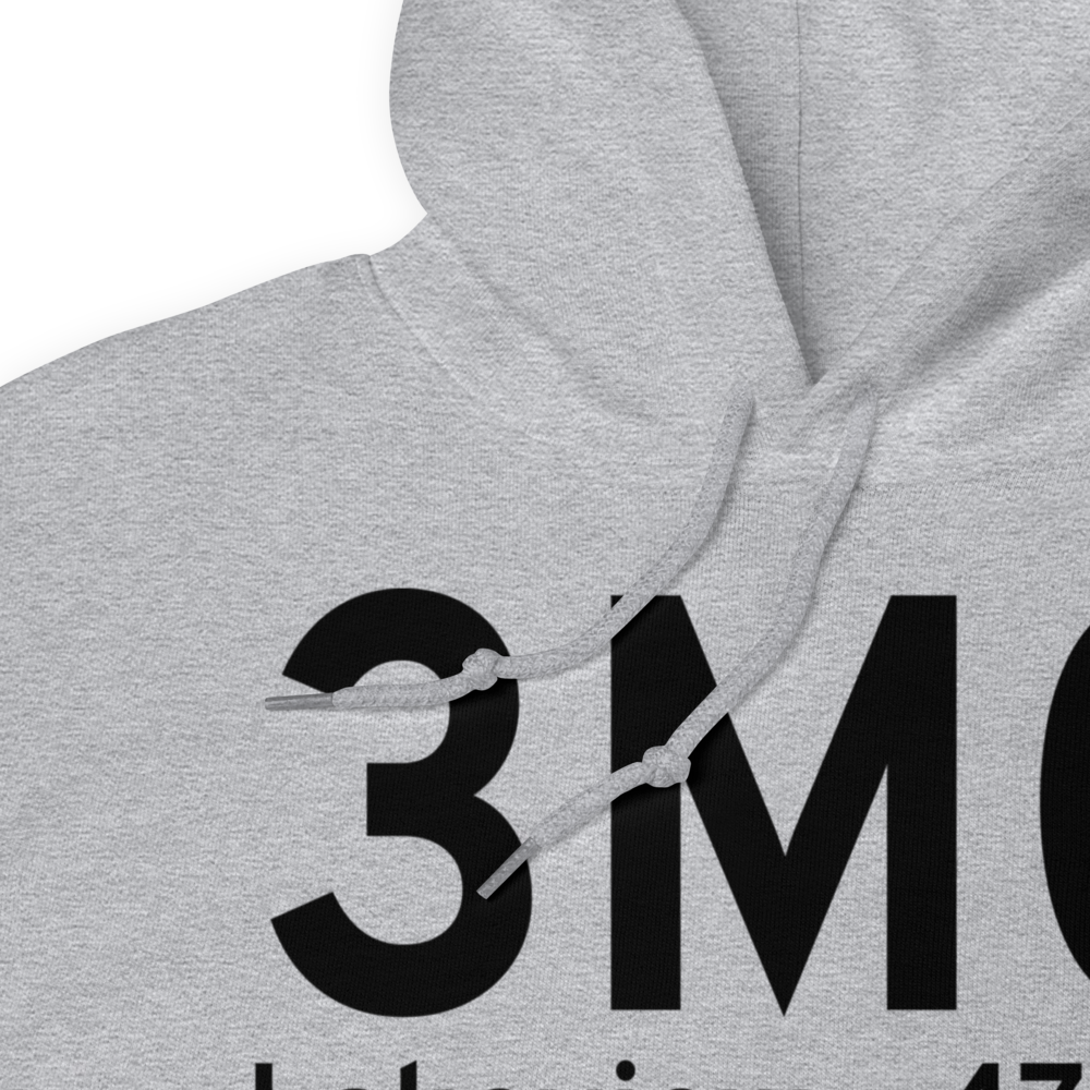 Lakeview (3M0) Airport Hoodie Sweatshirt 
