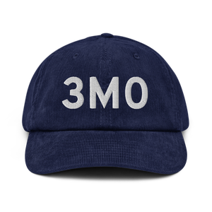 Lakeview (3M0) Airport Hat