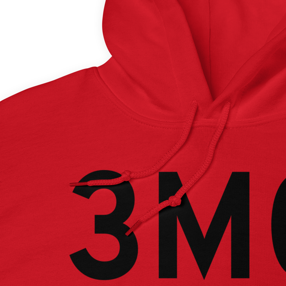 Lakeview (3M0) Airport Hoodie Sweatshirt 