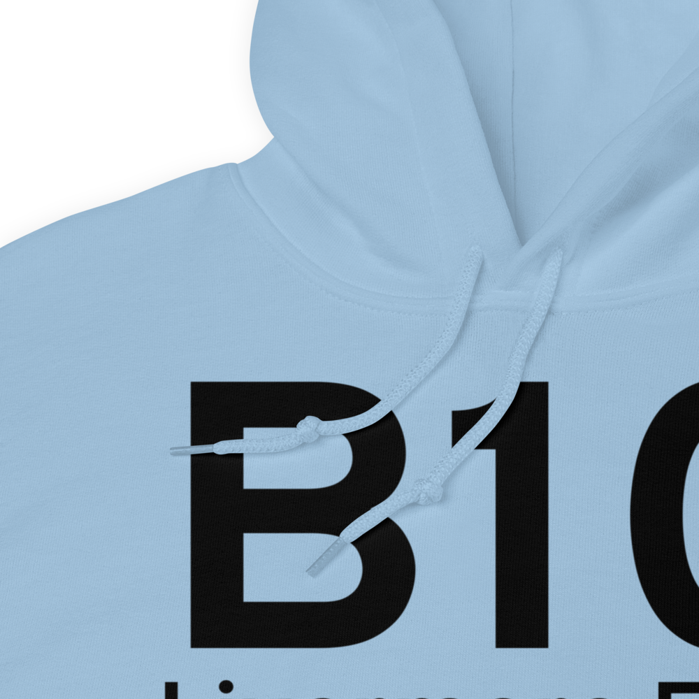 Livermore Falls (B10) Airport Hoodie Sweatshirt 