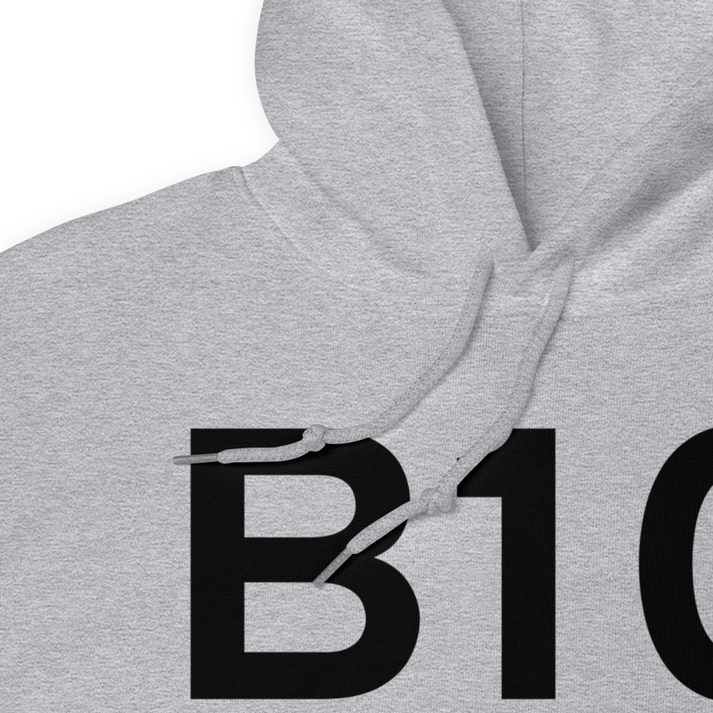 Livermore Falls (B10) Airport Hoodie Sweatshirt 