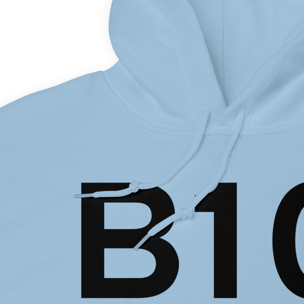 Livermore Falls (B10) Airport Hoodie Sweatshirt 