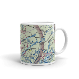 Danville Regional Airport (DAN) VFR Sectional  Mug