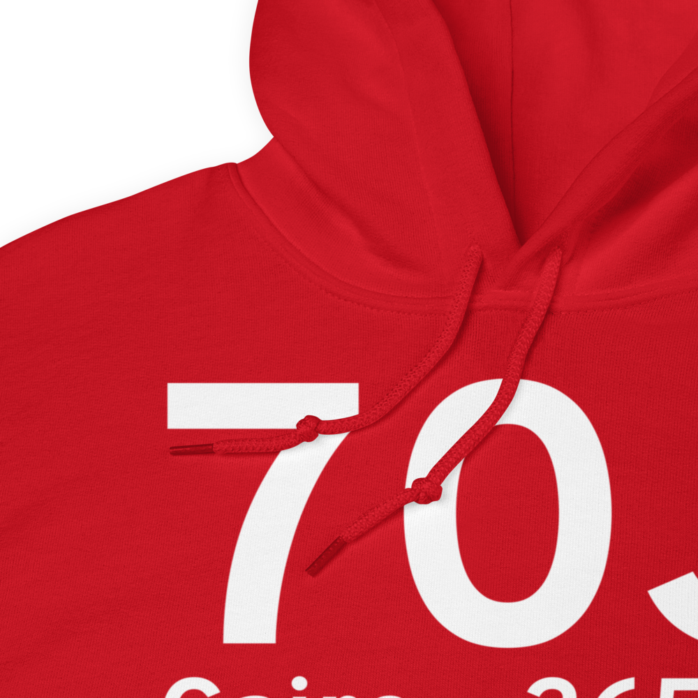 Cairo (K70J) Airport Hoodie Sweatshirt 