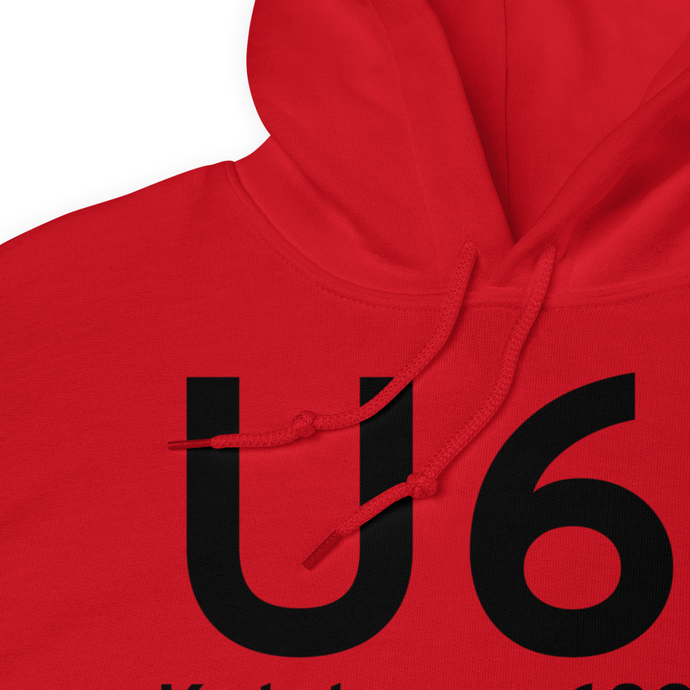 Ketchum (U61) Airport Hoodie Sweatshirt 