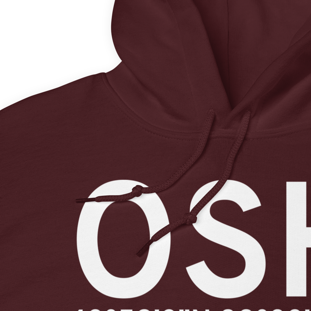 Oshkosh (KOSH) Airport Hoodie Sweatshirt 