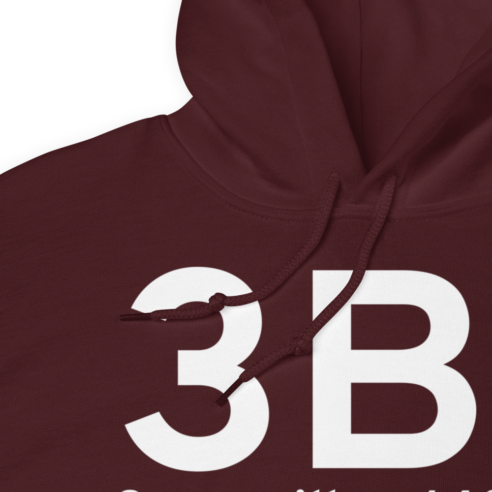 Greenville (K3B1) Airport Hoodie Sweatshirt 