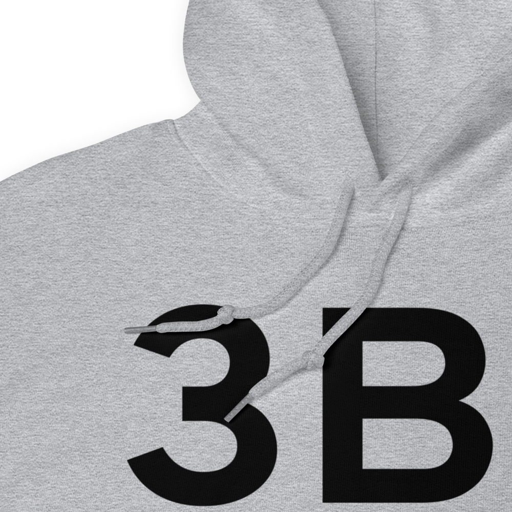 Greenville (K3B1) Airport Hoodie Sweatshirt 