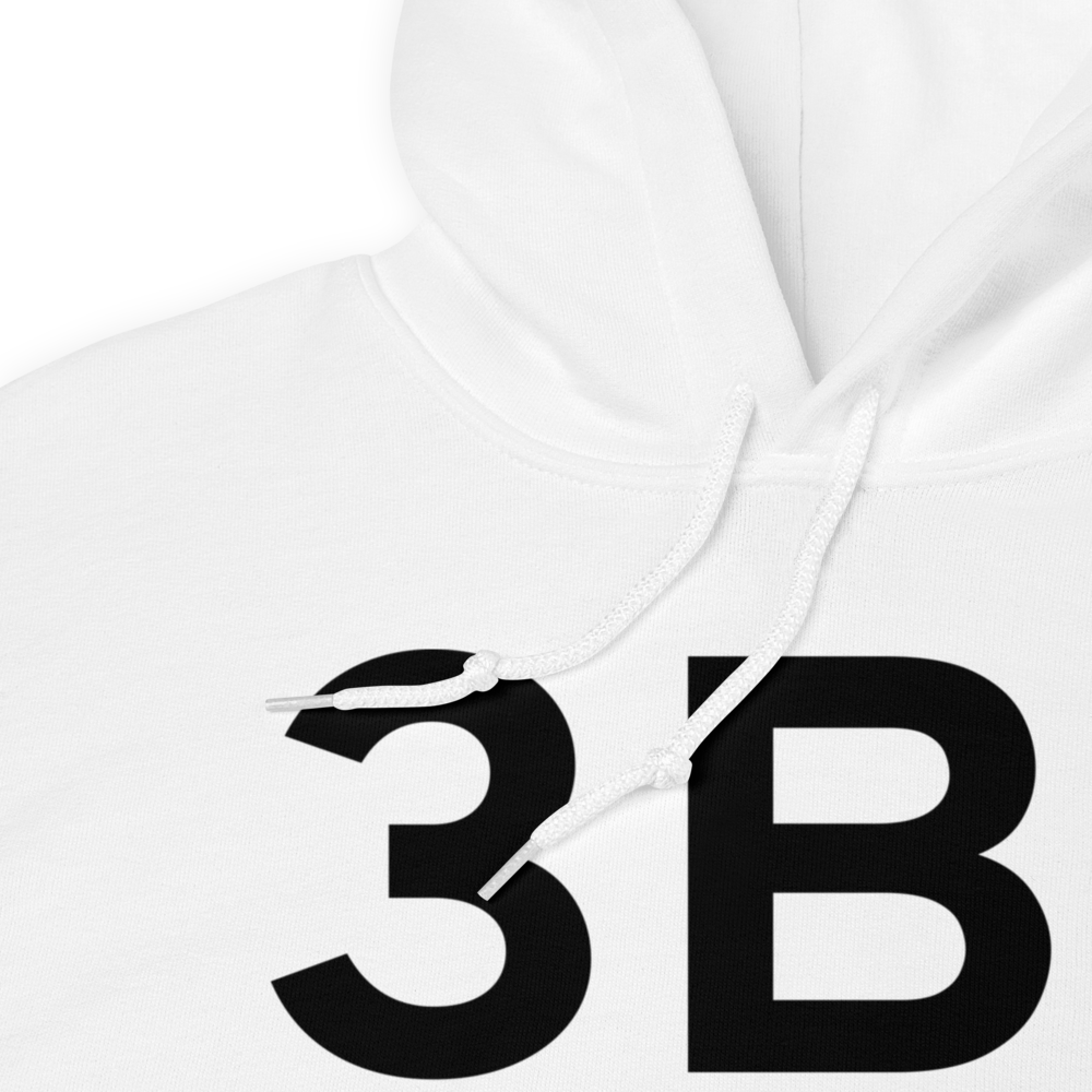 Greenville (K3B1) Airport Hoodie Sweatshirt 