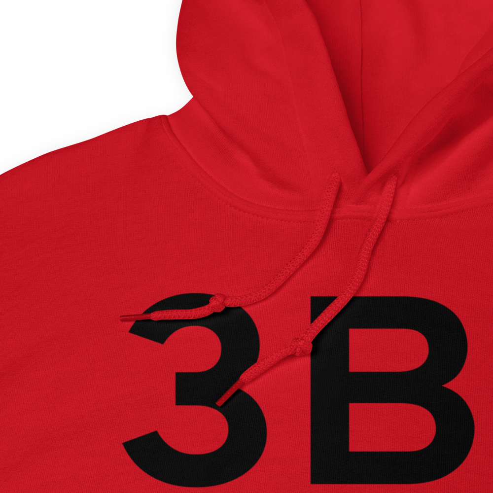 Greenville (K3B1) Airport Hoodie Sweatshirt 