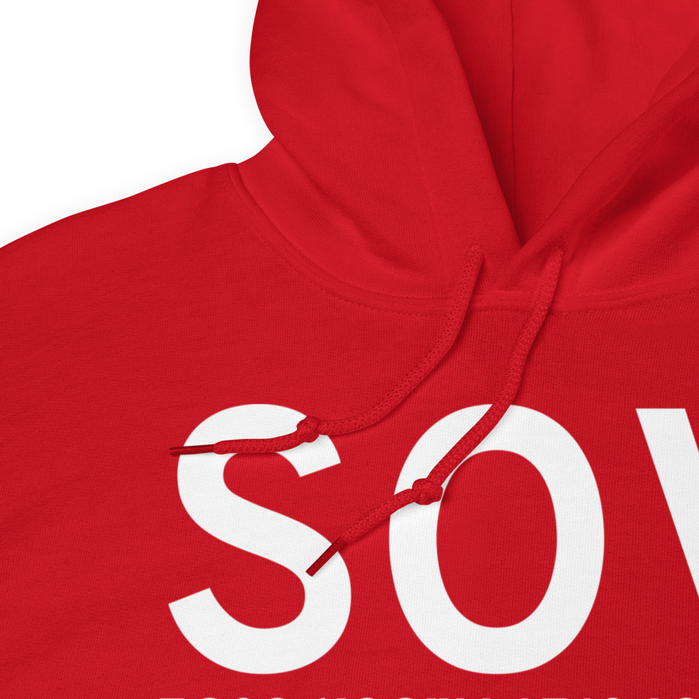 Seldovia (PASO) Airport Hoodie Sweatshirt 
