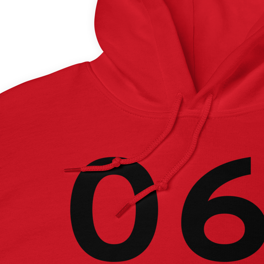French Lick (06I) Airport Hoodie Sweatshirt 