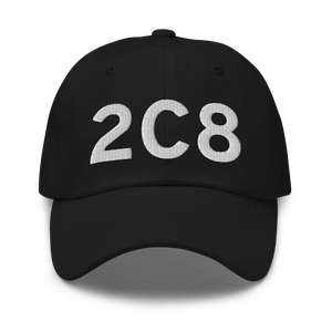 Cavalier (K2C8) Airport Hat