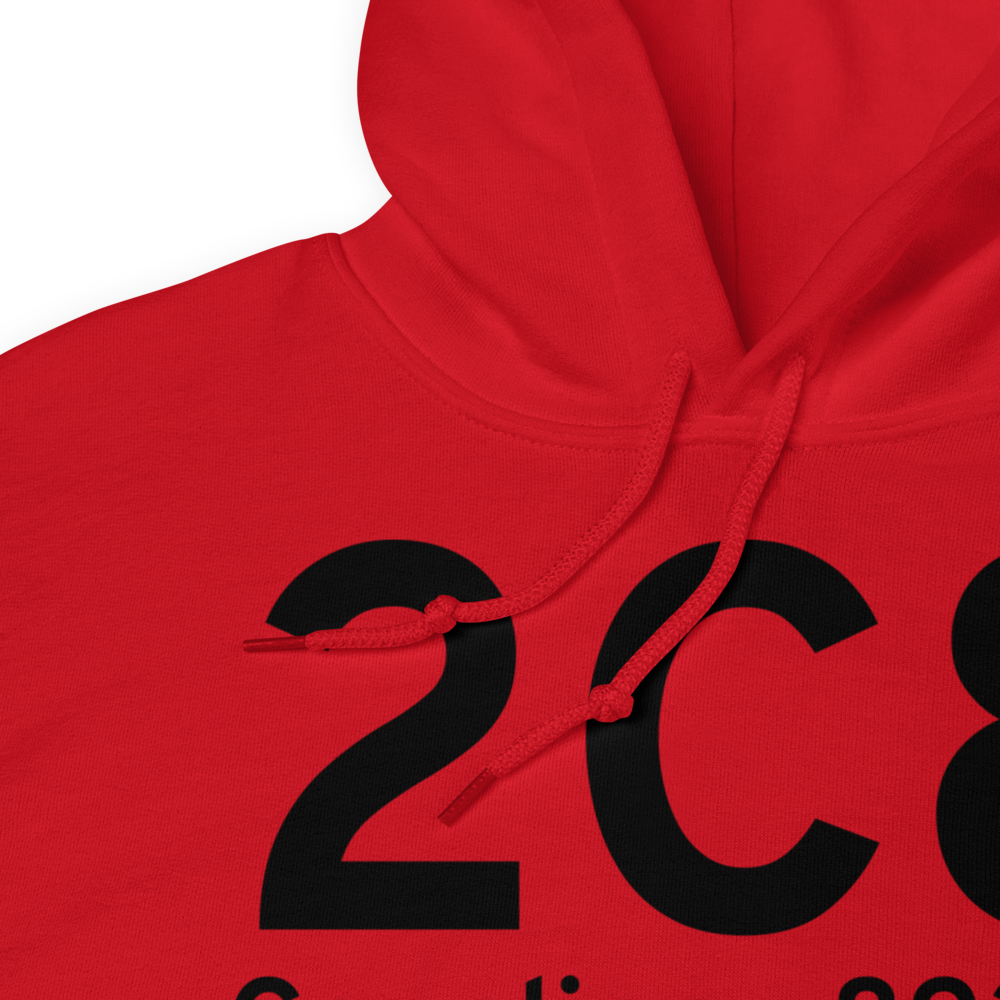 Cavalier (K2C8) Airport Hoodie Sweatshirt 