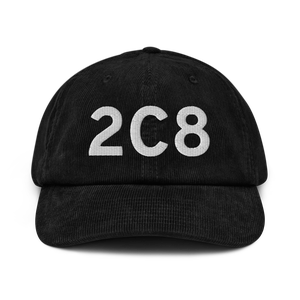 Cavalier (K2C8) Airport Hat