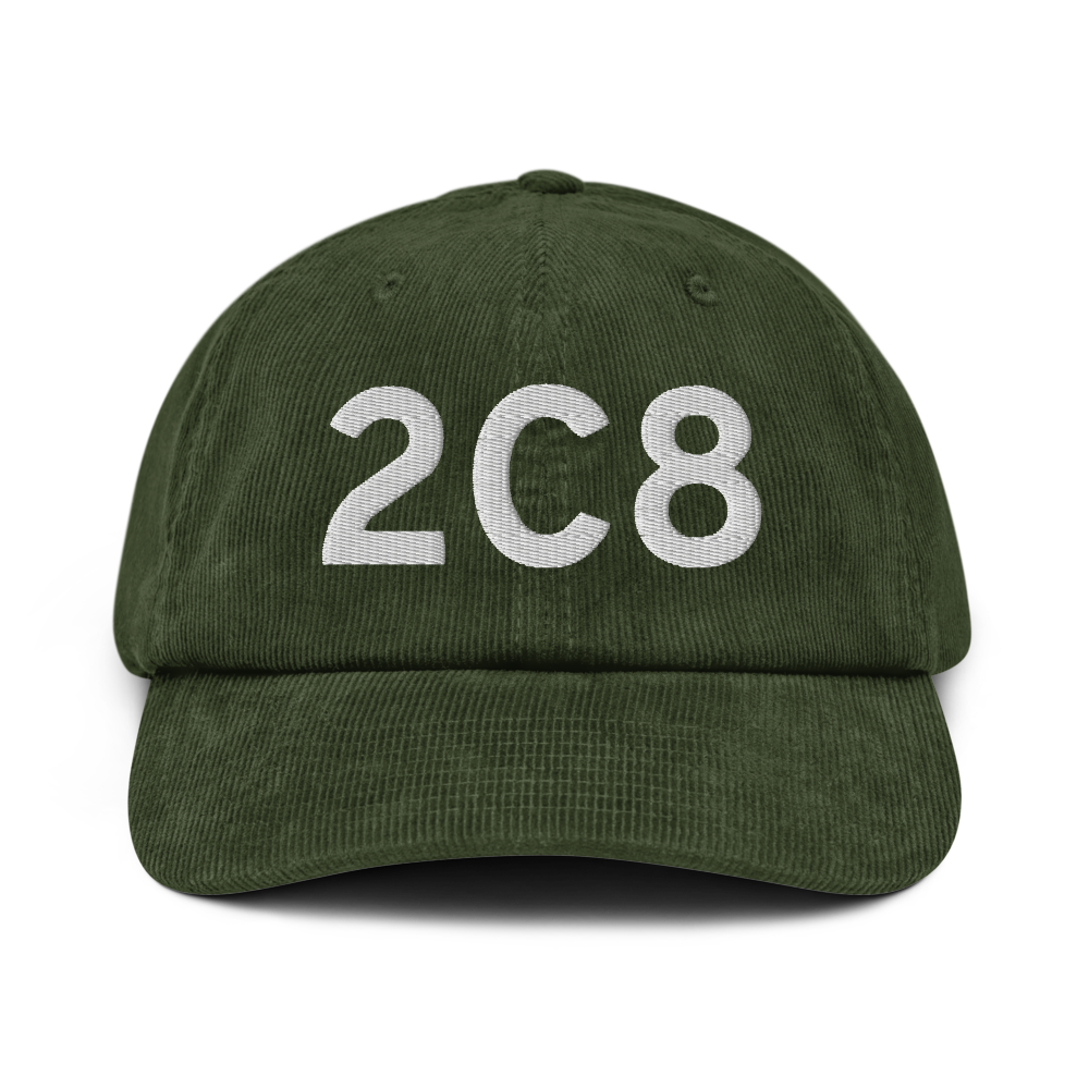 Cavalier (K2C8) Airport Hat 
