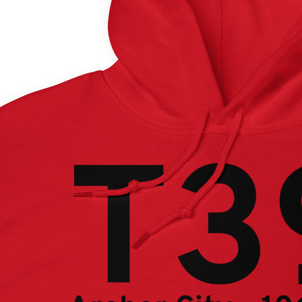 Archer City (KT39) Airport Hoodie Sweatshirt 
