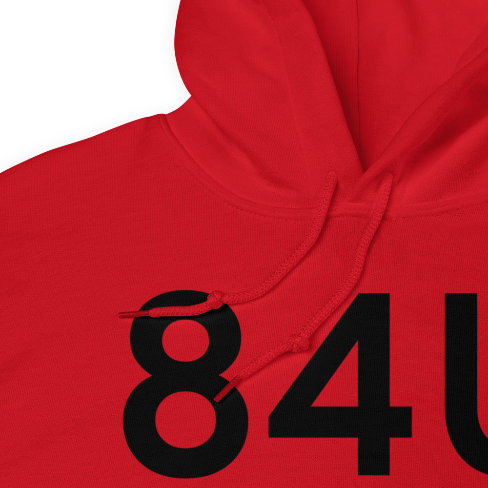 Butte (84U) Airport Hoodie Sweatshirt 