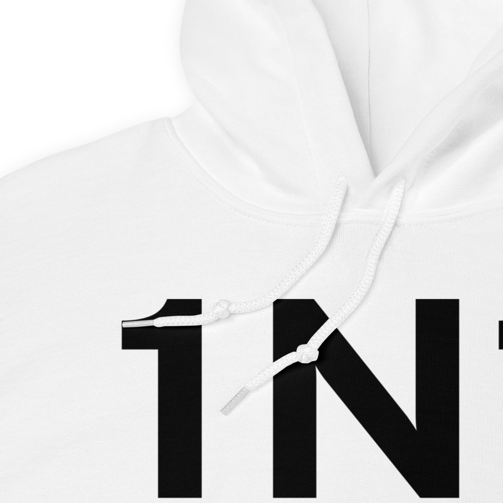 Edgewood (K1N1) Airport Hoodie Sweatshirt 