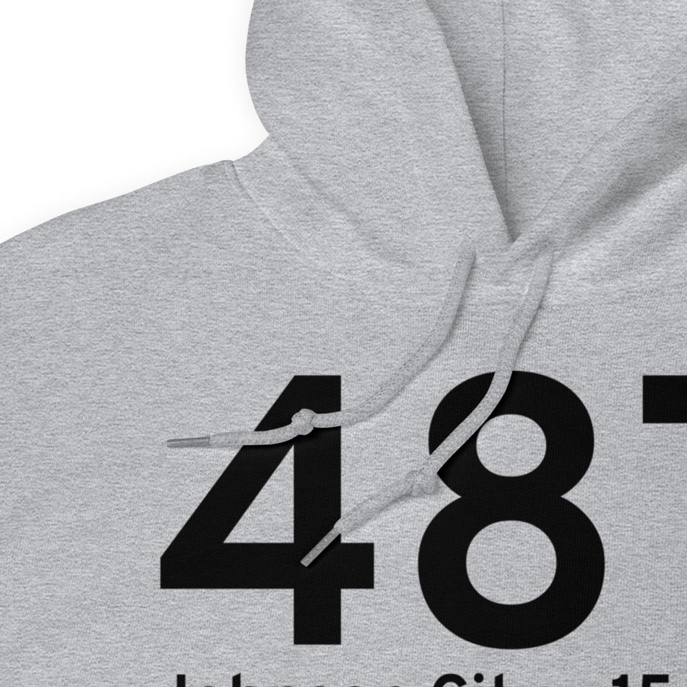 Johnson City (48T) Airport Hoodie Sweatshirt 