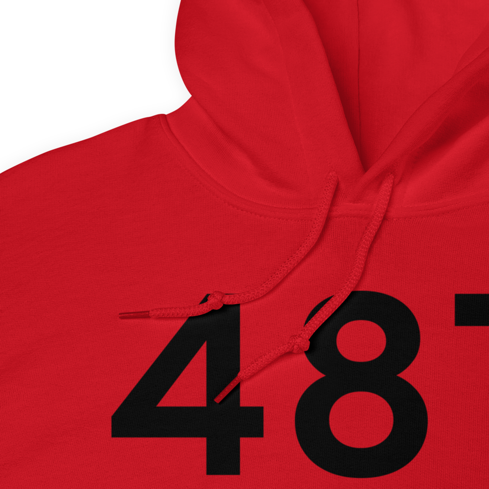 Johnson City (48T) Airport Hoodie Sweatshirt 