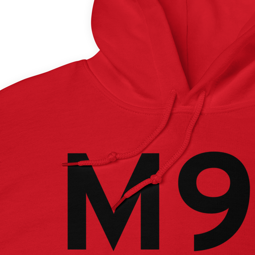 Springfield (KM91) Airport Hoodie Sweatshirt 