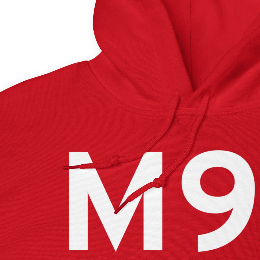 Springfield (KM91) Airport Hoodie Sweatshirt 