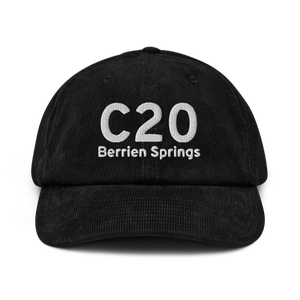 Berrien Springs (KC20) Airport Hat