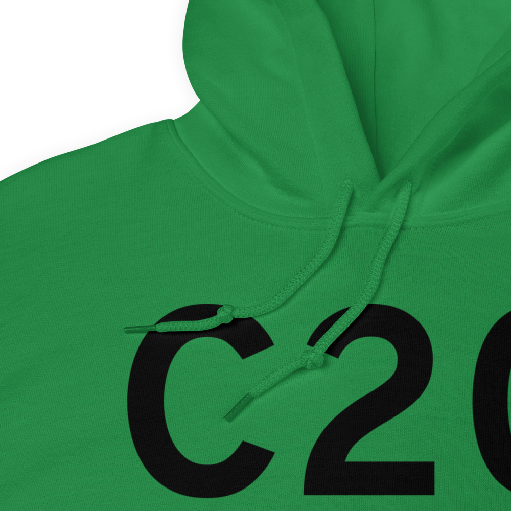 Berrien Springs (KC20) Airport Hoodie Sweatshirt 