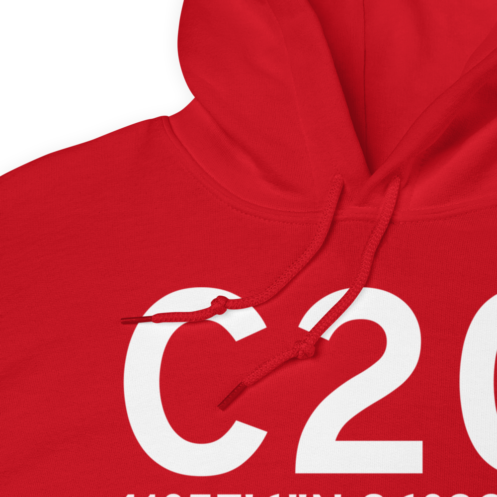 Berrien Springs (KC20) Airport Hoodie Sweatshirt 