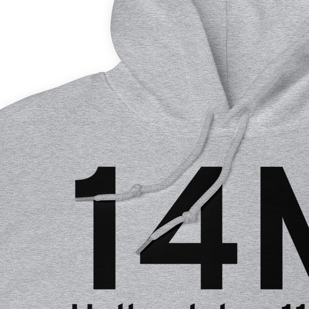 Hollandale (K14M) Airport Hoodie Sweatshirt 