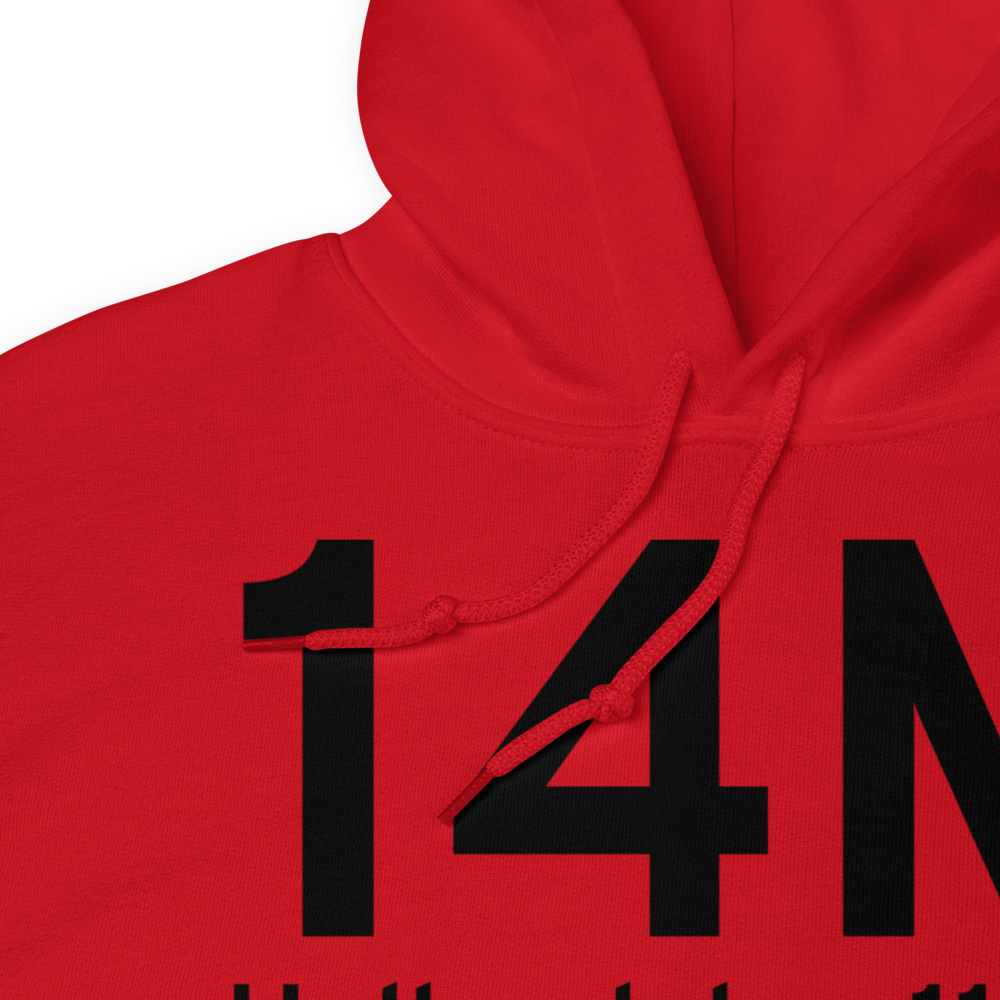 Hollandale (K14M) Airport Hoodie Sweatshirt 