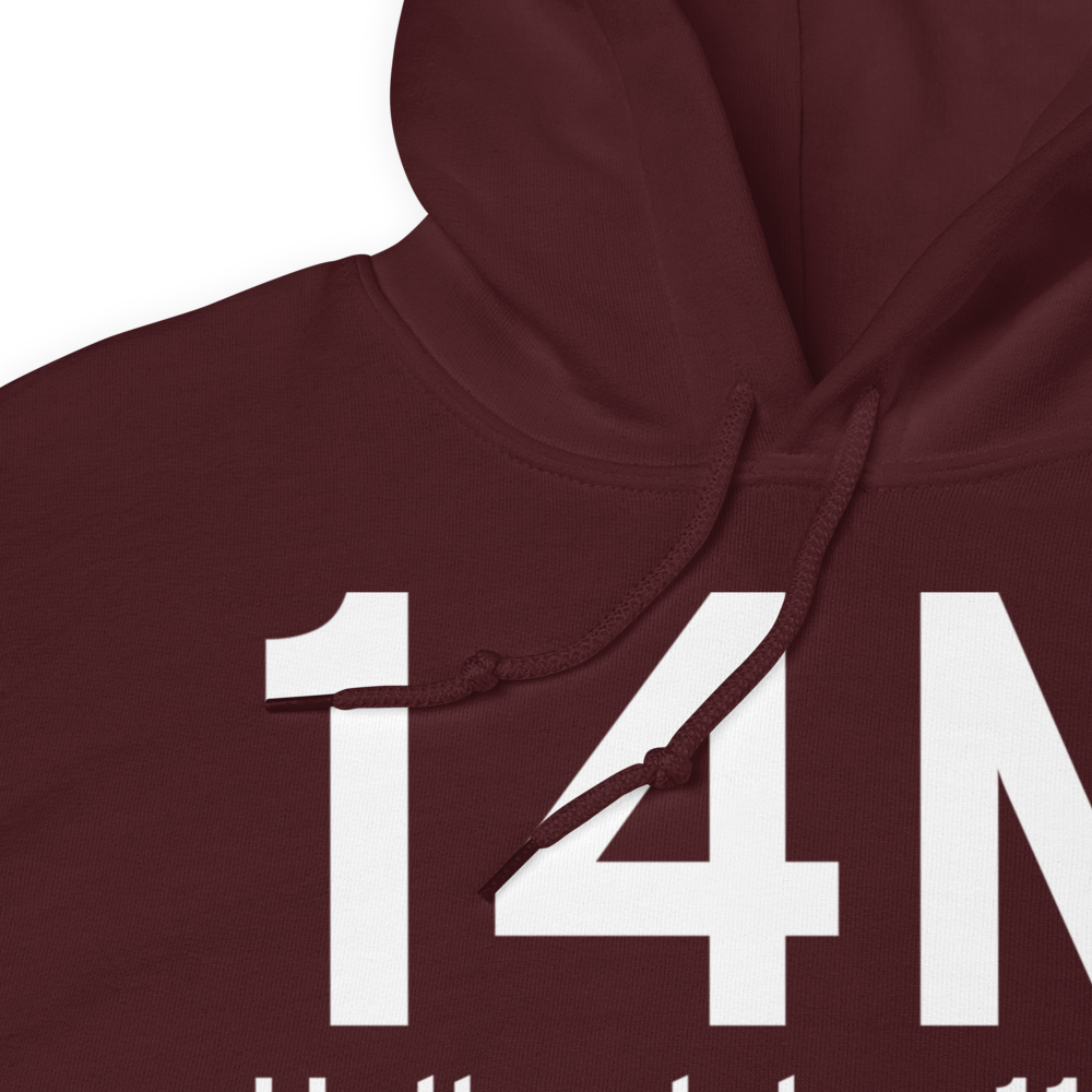 Hollandale (K14M) Airport Hoodie Sweatshirt 